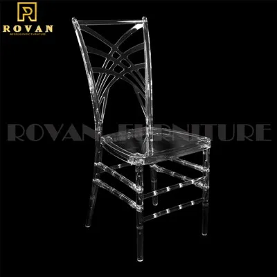 Roisín PC Cathaoirleach Chameleon Plaisteacha Clear